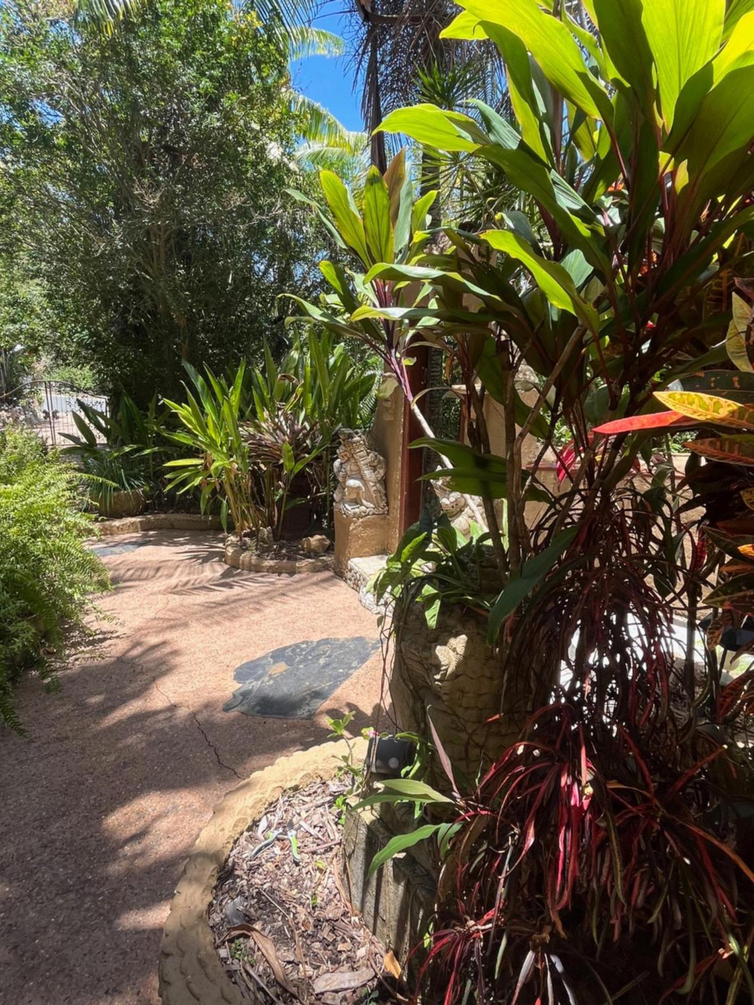 Whitsundays Bnb Retreat Airlie Beach Zewnętrze zdjęcie
